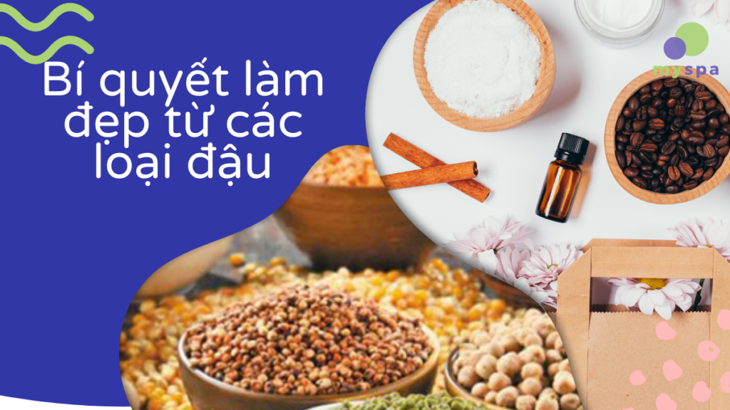 Làm đẹp từ các loại đậu