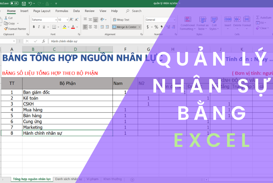 Quản lý nhân sự bằng excel
