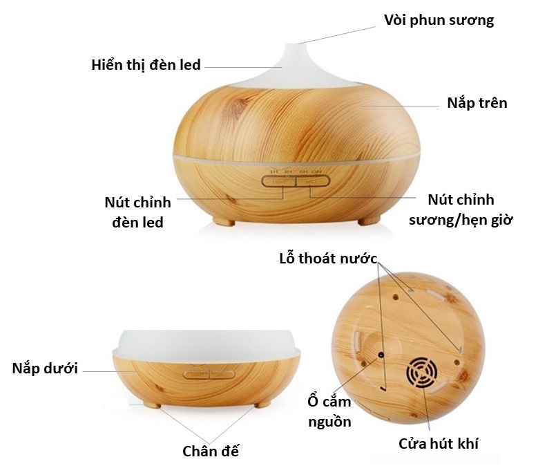 Cấu tạo máy xông tinh dầu